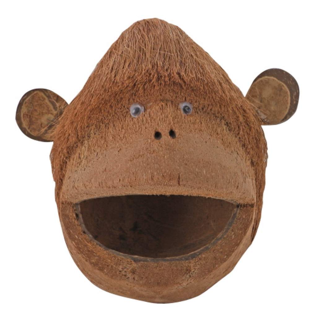 Coco Monkey